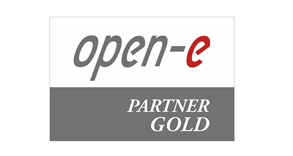 Open-E Platinum Partner